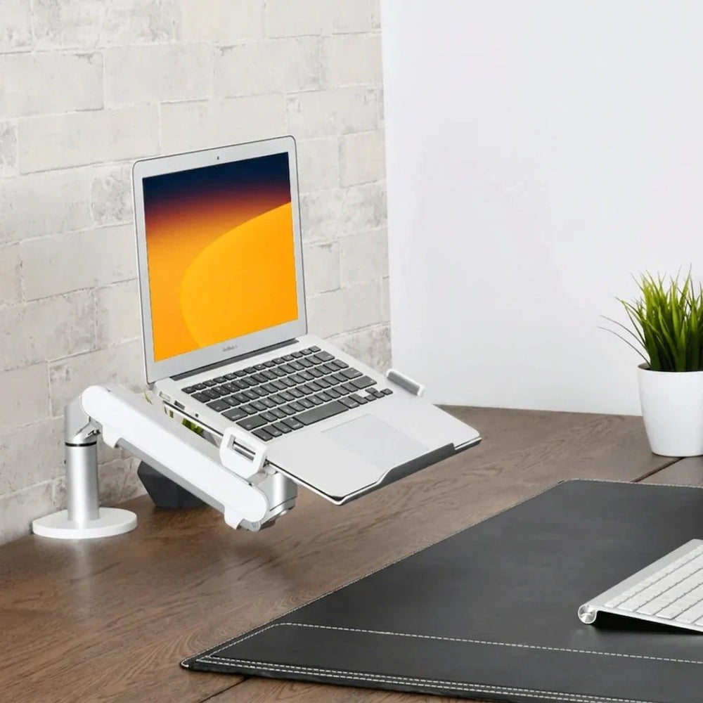Alberenz® Braccio per Laptop a Molla a Gas Argento