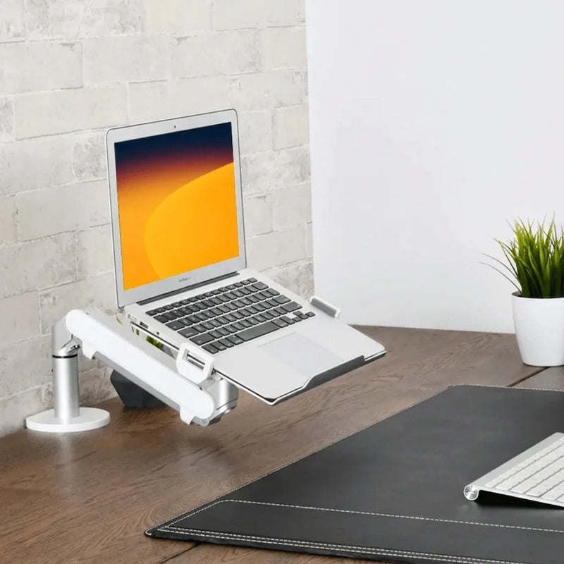 Alberenz® Braccio per Laptop a Molla a Gas Argento